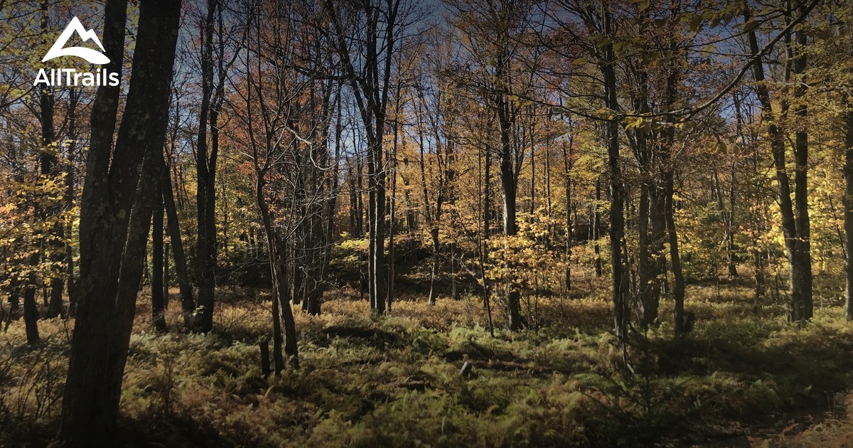 Best hikes and trails in Mehoopany Township AllTrails