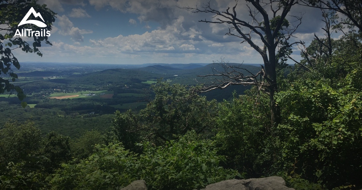 10 Best Trails and Hikes in Pine Grove AllTrails