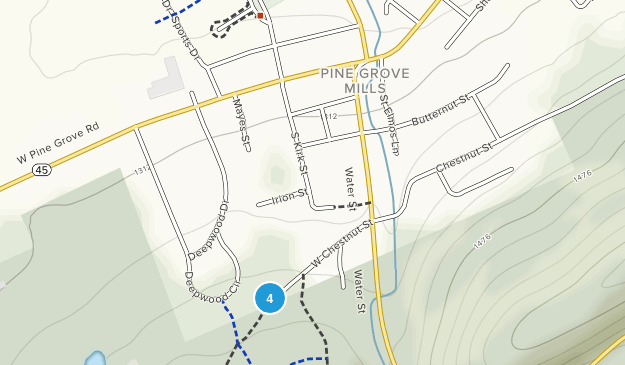 Pine Grove Mills, Pennsylvania Map
