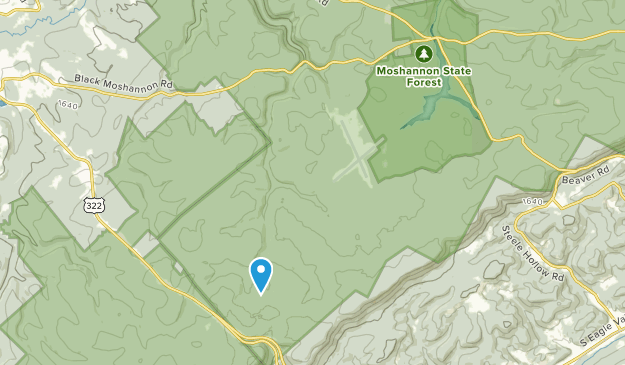 Sandy Ridge, Pennsylvania Map