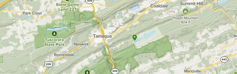 Mountain Views: 5 Beautiful Hiking Trails in Tamaqua – Pennsylvania Mountain Views: 5 Beautiful Hiking Trails in Tamaqua – Pennsylvania
