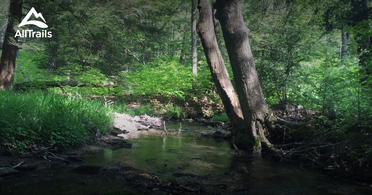 Best Trails near Tidioute, Pennsylvania AllTrails