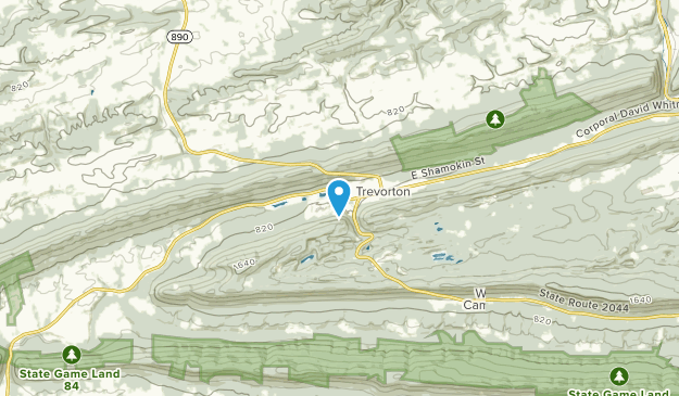 Trevorton, Pennsylvania Map
