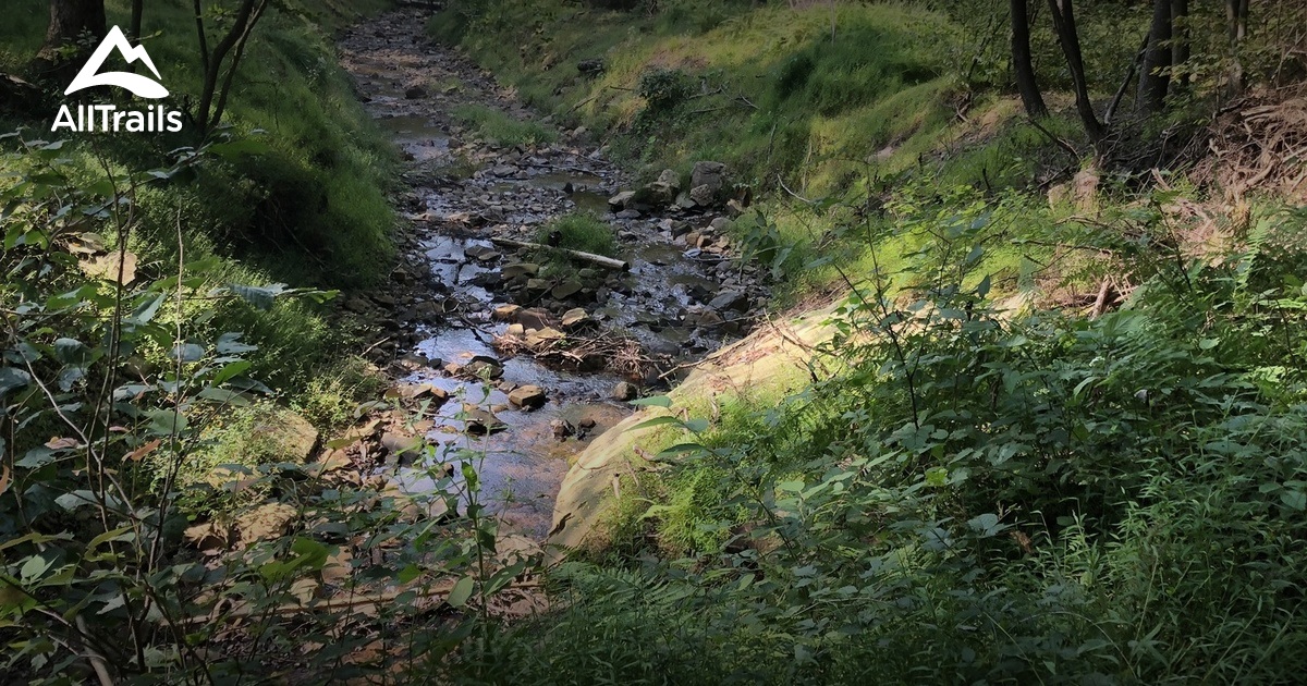 Best hikes and trails in Trout Run AllTrails