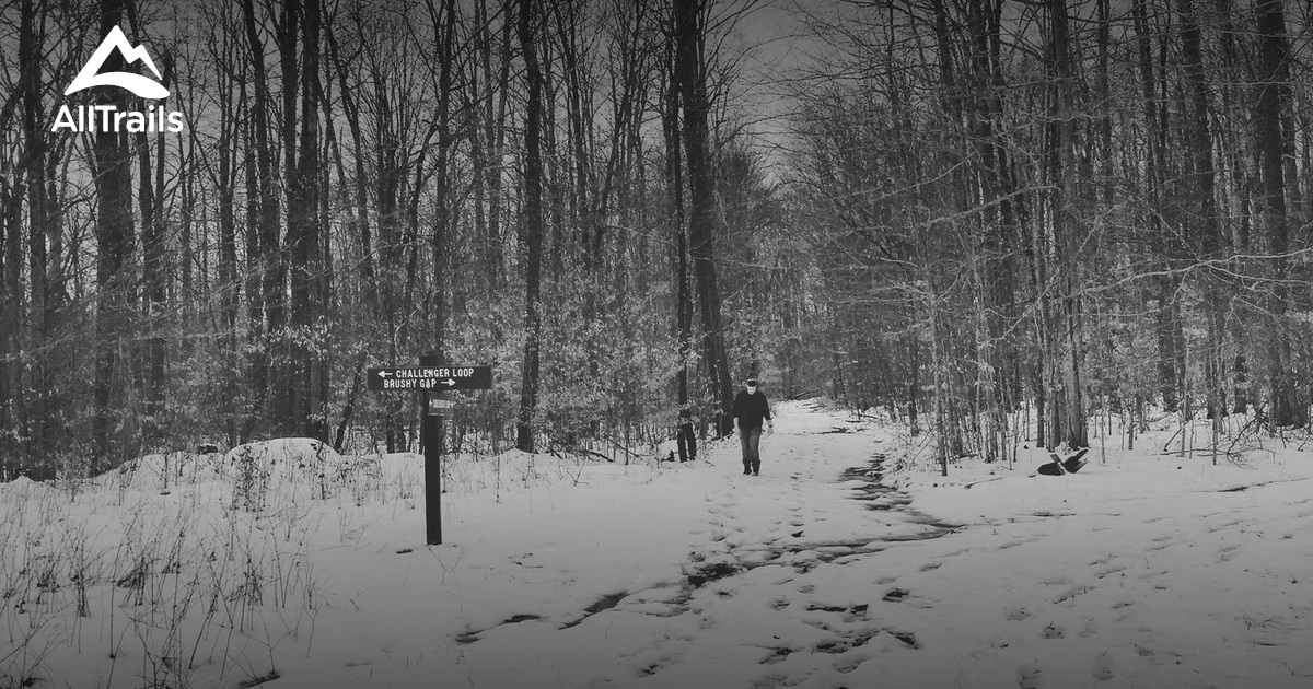 Best Trails near Wilcox, Pennsylvania AllTrails