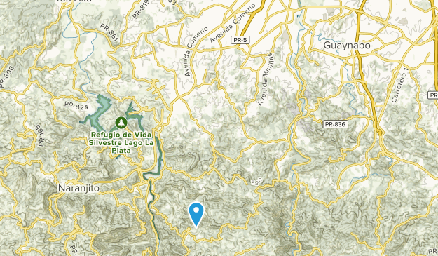Bayamon, Puerto Rico Map