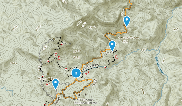Campamento Zarzal, Puerto Rico Map