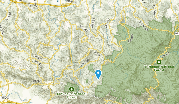 Canovanas, Puerto Rico Map