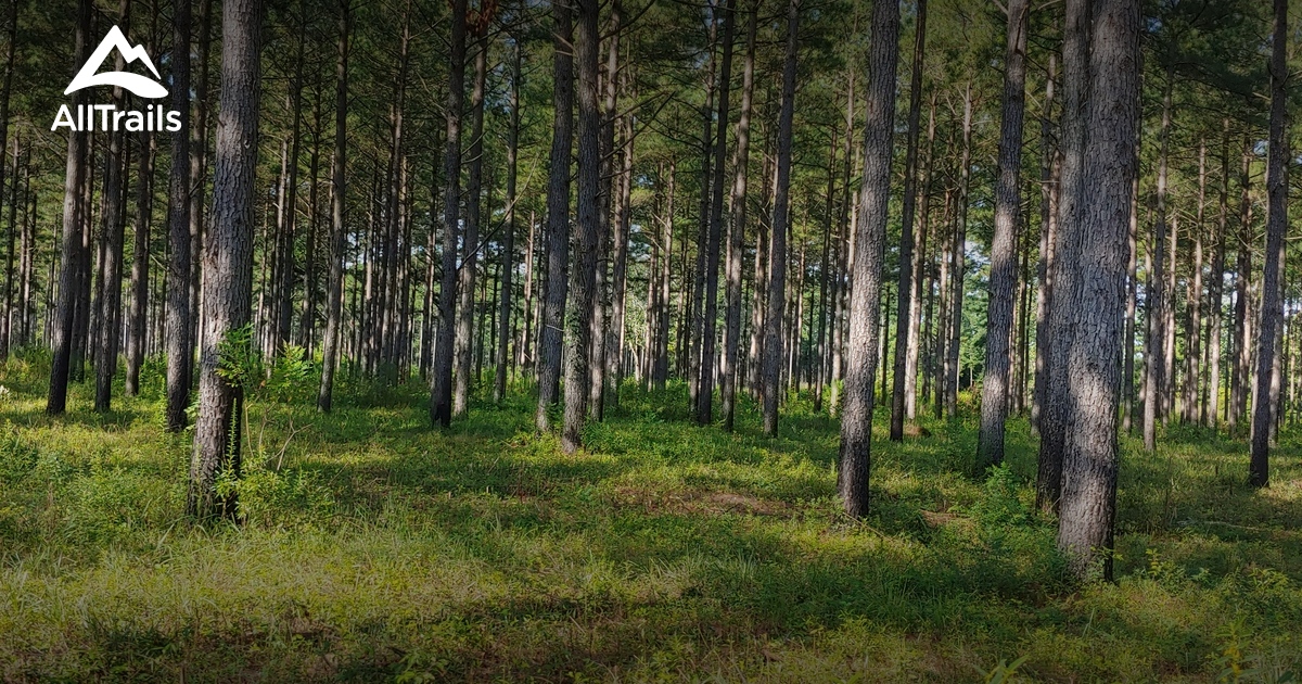 Best hikes and trails in Eutawville AllTrails