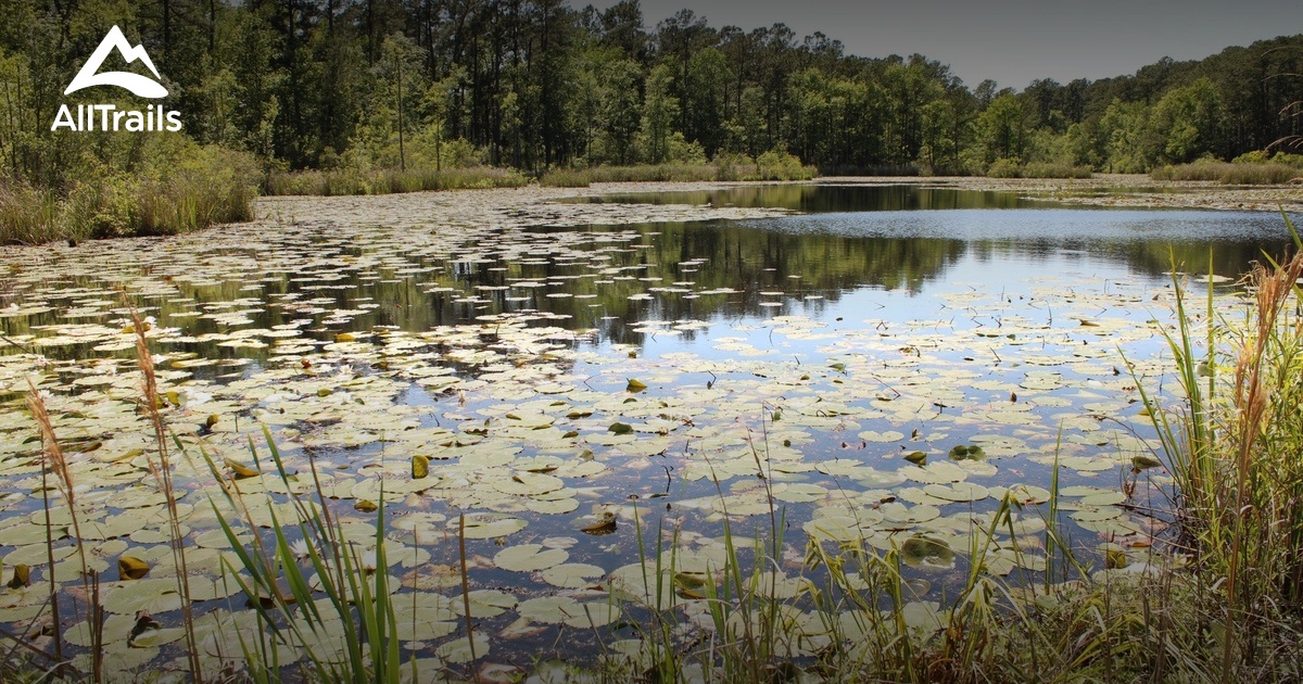 Best hikes and trails in Goose Creek AllTrails