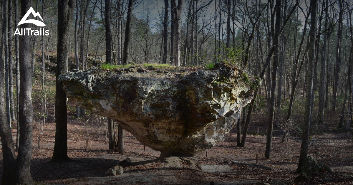 Best Trails near Lexington, South Carolina AllTrails