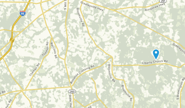 Manning, South Carolina Map