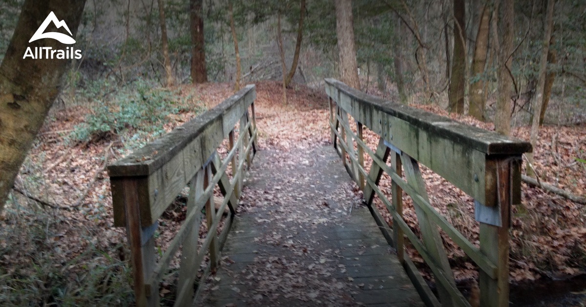 Best Trails near Pinewood, South Carolina AllTrails