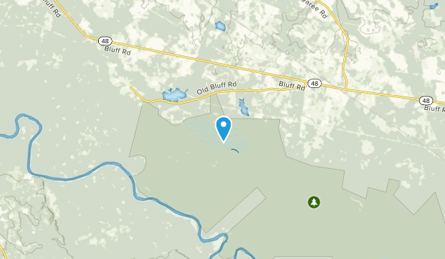 St Matthews, South Carolina Map