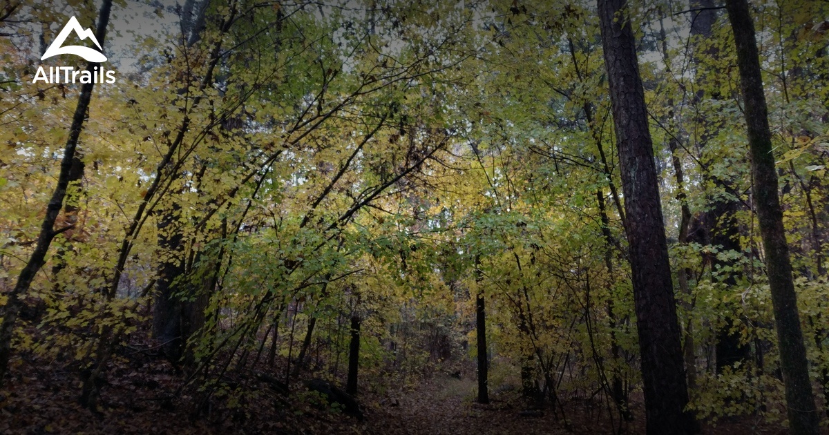 Best hikes and trails in Whitmire AllTrails