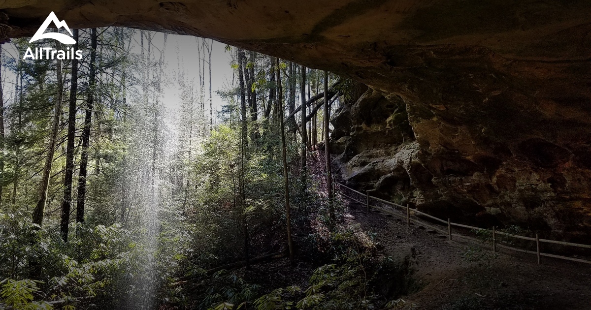 Best hikes and trails in Allardt AllTrails