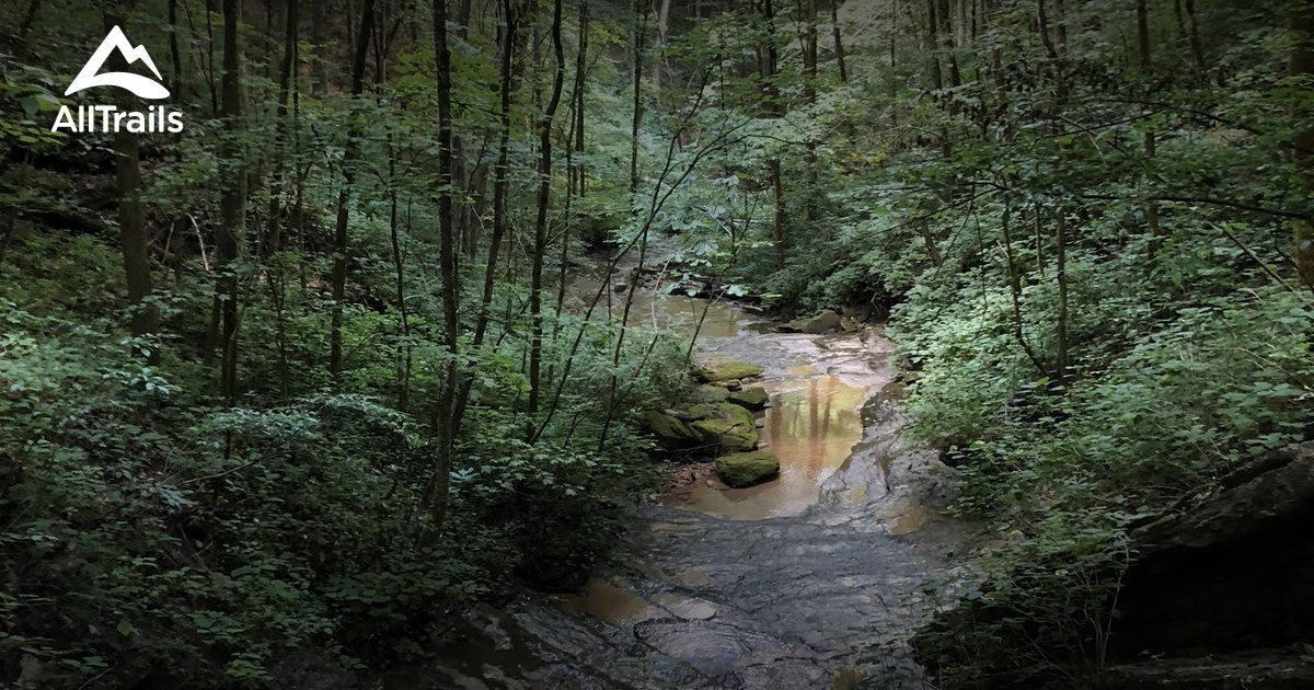 Best hikes and trails in Byrdstown AllTrails