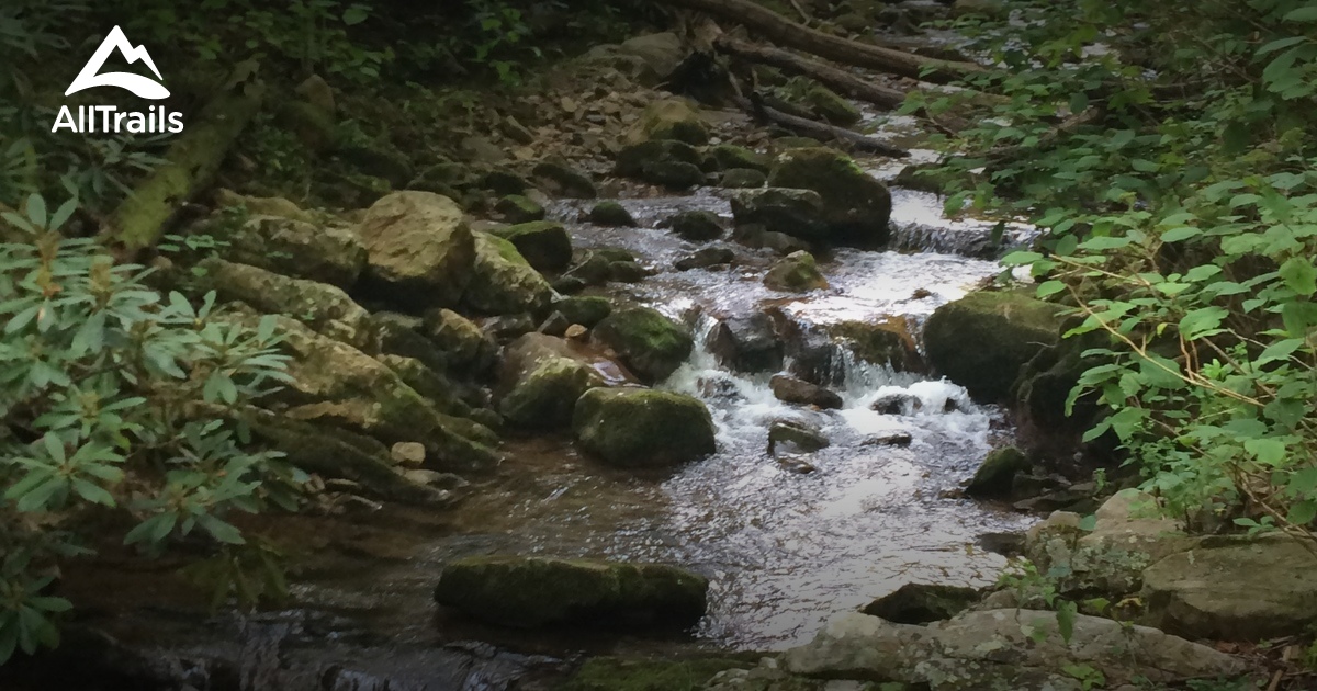 Best Trails near Chuckey, Tennessee AllTrails