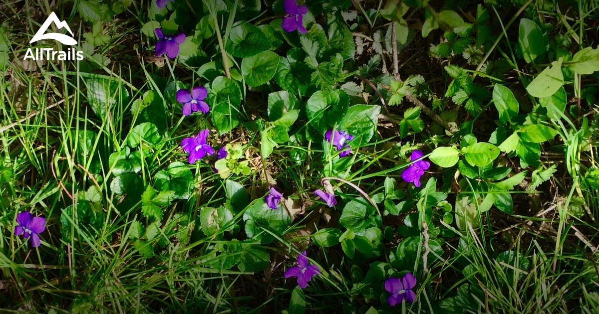 Best hikes and trails in Cleveland AllTrails