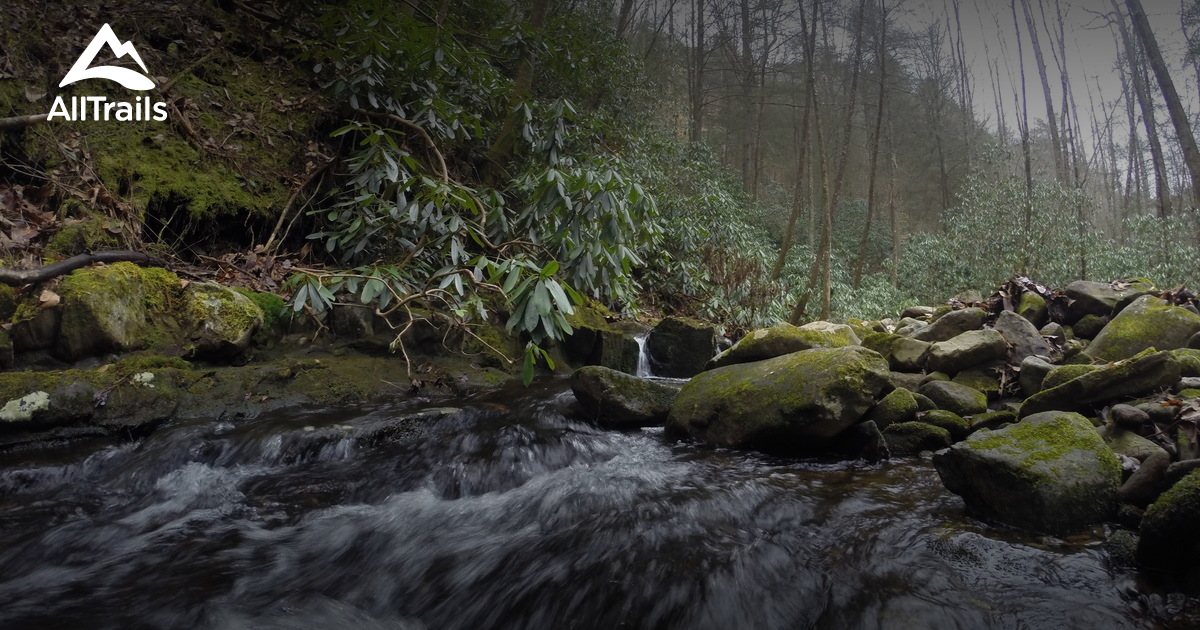 Best Trails near Copperhill, Tennessee