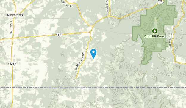 Essary Springs, Tennessee Map