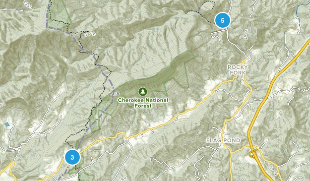 Flag Pond, Tennessee Map
