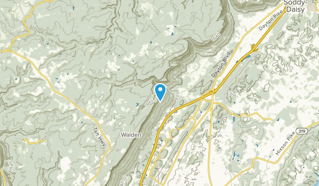 Forest Park, Tennessee Map