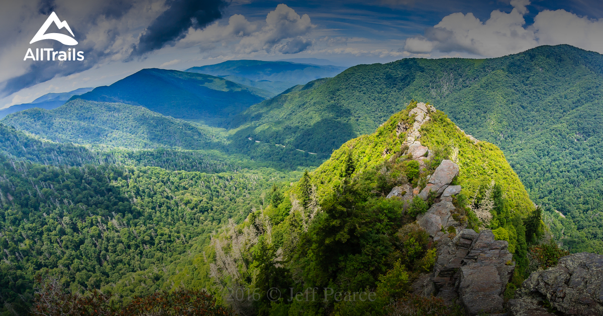  Best Trails near Gatlinburg Tennessee AllTrails