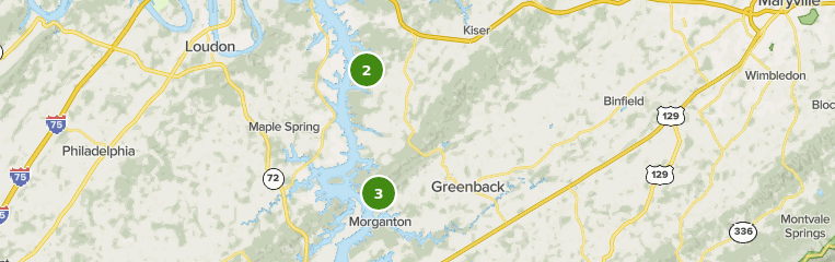 Best Trails near Greenback, Tennessee | AllTrails