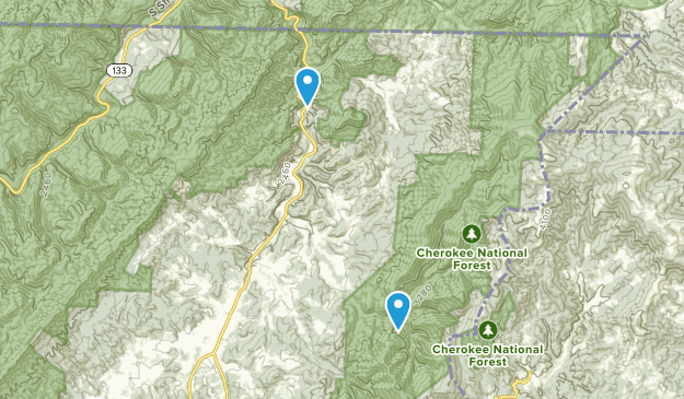 Laurel Bloomery, Tennessee Map