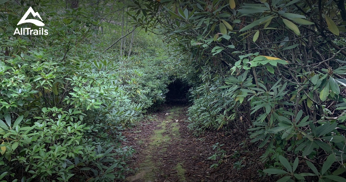 Best hikes and trails in Milligan College AllTrails