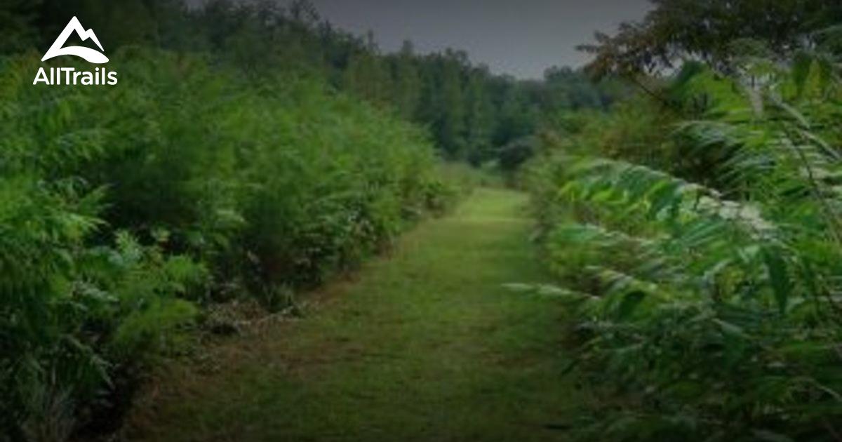 Best Trails near Monteagle Tennessee Photos & Reviews AllTrails