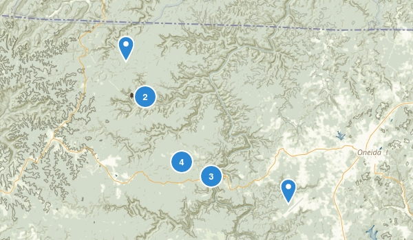 Oneida, Tennessee Map