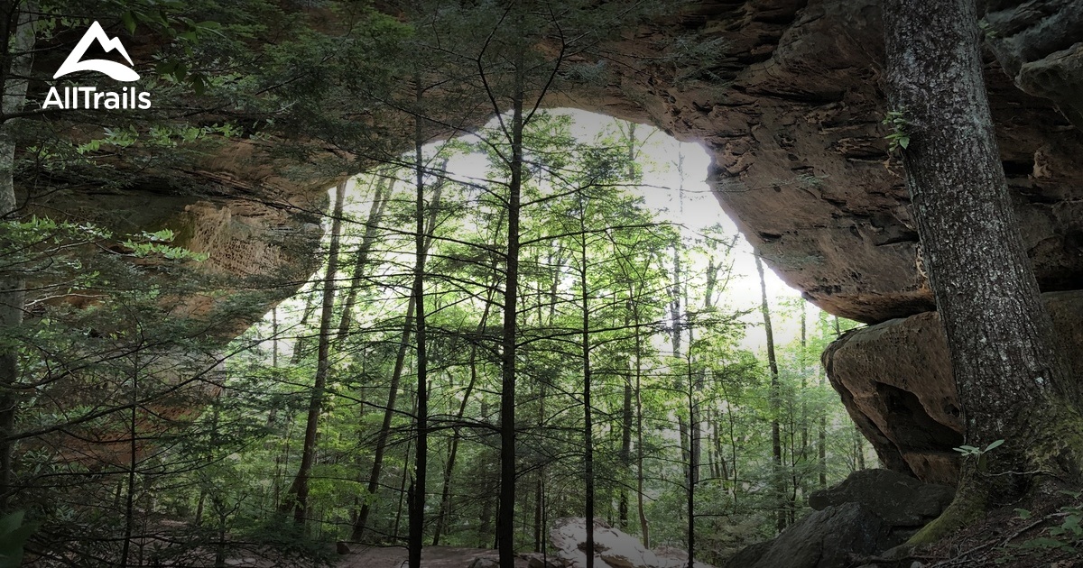 Best Trails near Oneida, Tennessee AllTrails