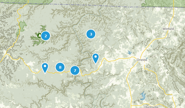 Oneida, Tennessee Map