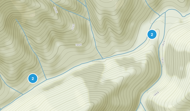 Painter Spring, Tennessee Map