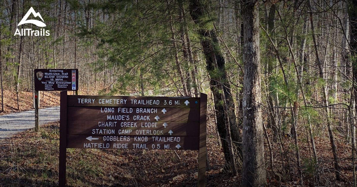 Best Trails near Pall Mall, Tennessee AllTrails