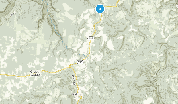 Palmer, Tennessee Map