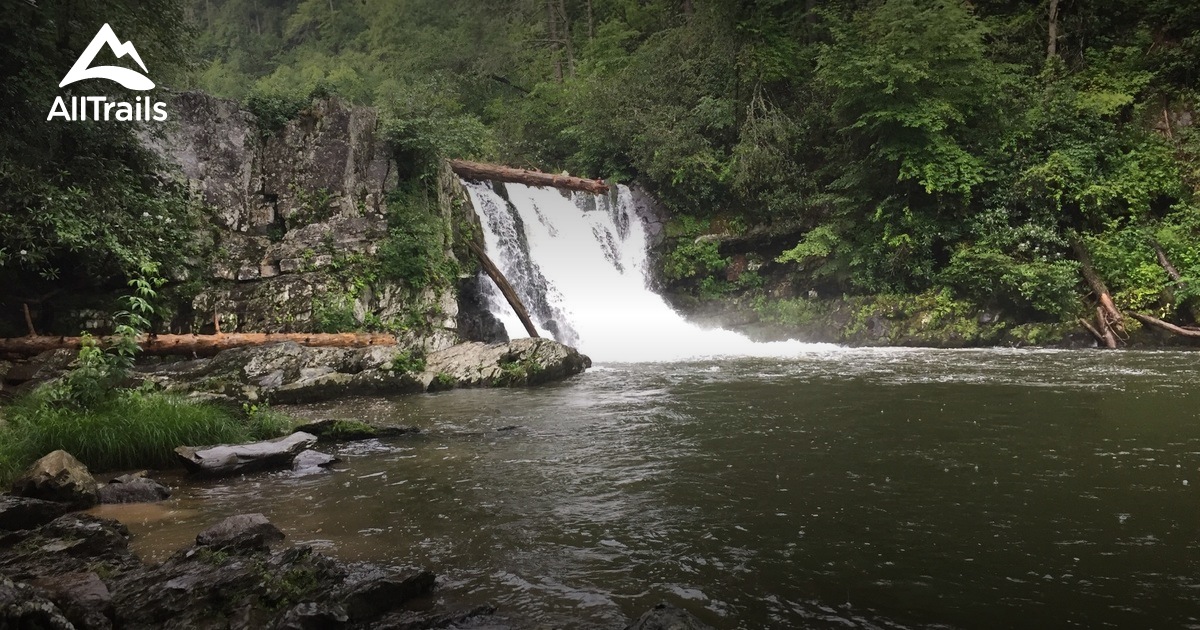 10 Best trails and hikes in Townsend AllTrails