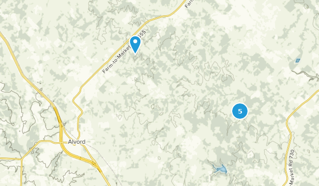 Alvord, Texas Map
