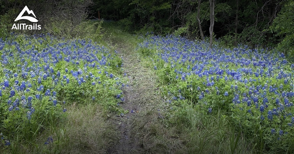 Best Hikes and Trails in Bardwell AllTrails