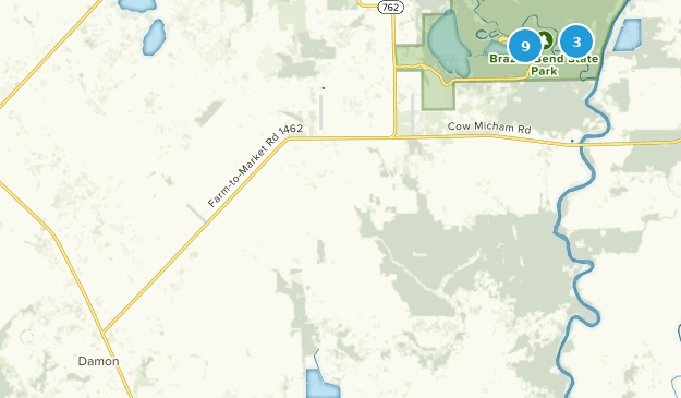 Damon, Texas Map
