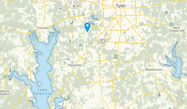 Flint, Texas Map