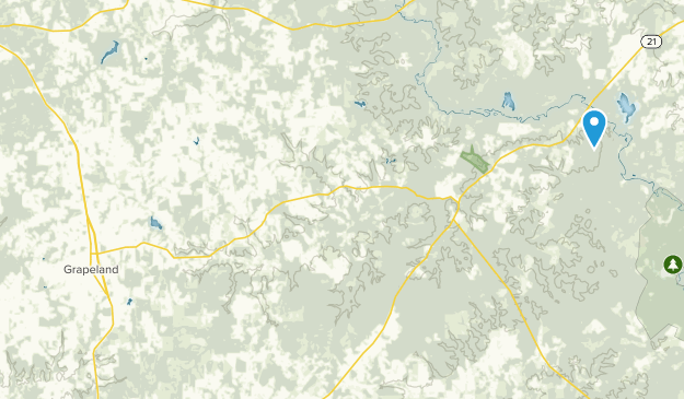 Grapeland, Texas Map