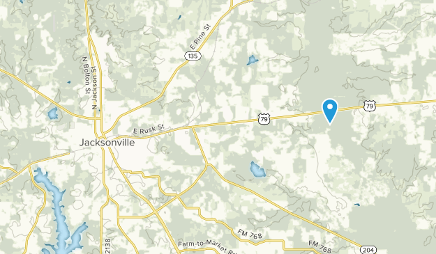 Jacksonville, Texas Map