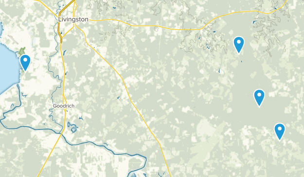 Livingston, Texas Map
