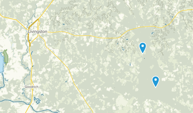 Livingston, Texas Map