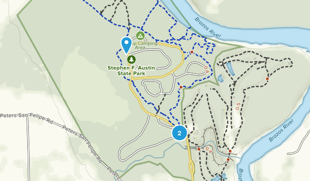 Sealy, Texas Map