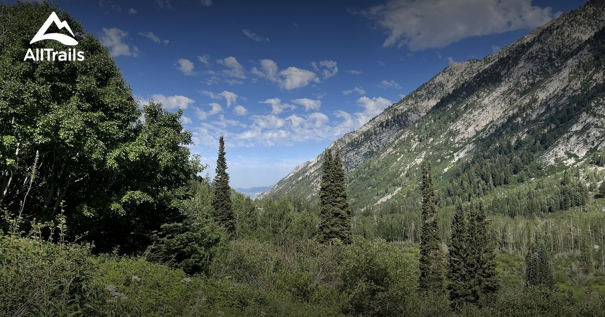 10 Best trails and hikes in Alta | AllTrails