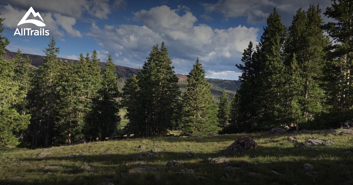 10 Best views trails in Altonah AllTrails